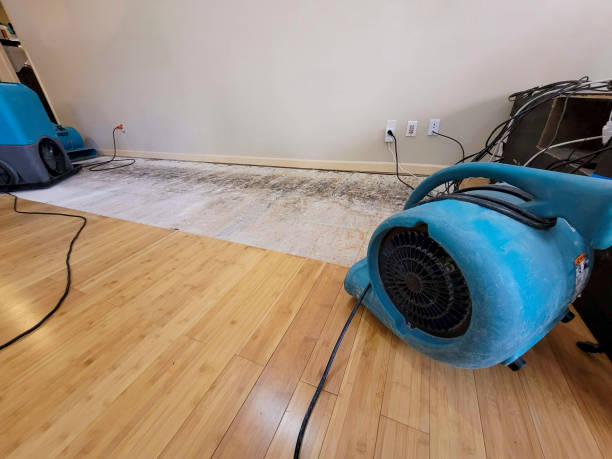 Professional Basement Flood Cleanup technician working in Manassas, VA